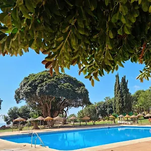 Lemon Tree Apartamento